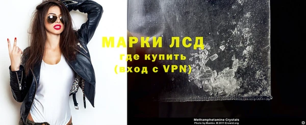 шишки Бородино