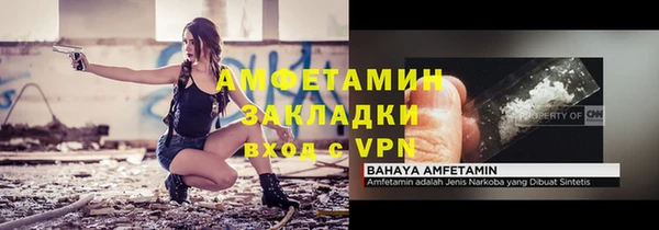 шишки Бородино