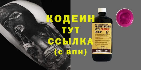 шишки Бородино