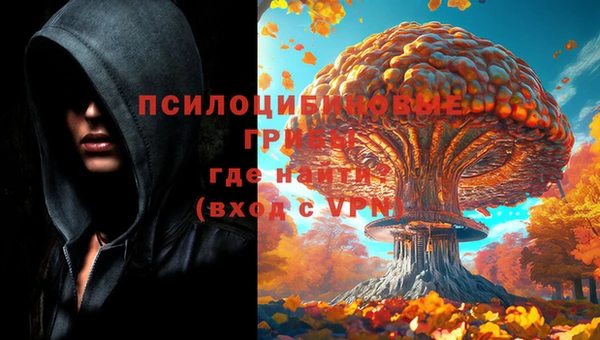 шишки Бородино