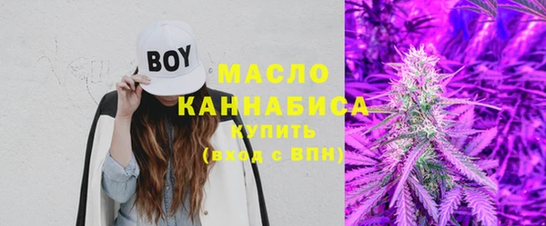 шишки Бородино