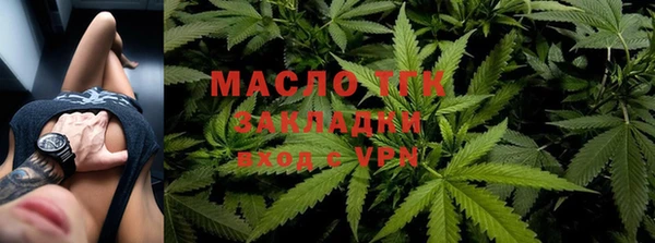 шишки Бородино