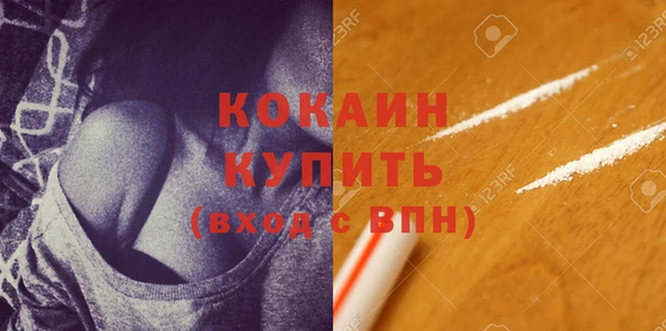 шишки Бородино