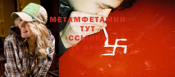 шишки Бородино