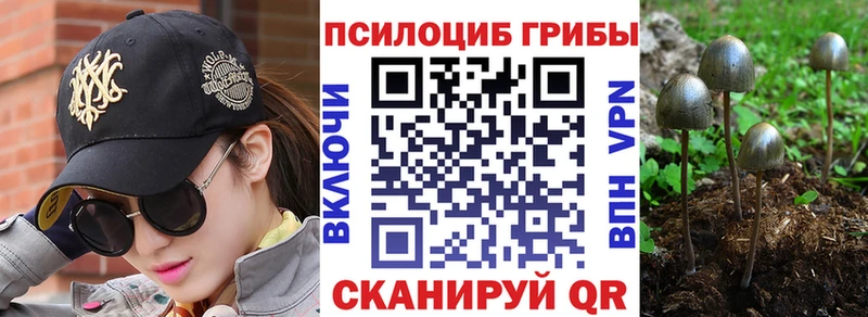 маркетплейс какой сайт Светлоград Псилоцибиновые грибы прущие грибы